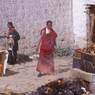 Yamantaka burnt-offering ritual at Tantric College