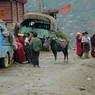 Tibetan monks and lay people at roadside.