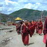 Monks walking home after attending religious lectures.