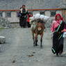 Tibetan women walking on the street.