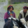 Tibetan women with a yak on the street.