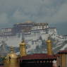 A view of the Potala Palace from the roof of the Jokhang.