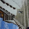 A tourist descending the front (south) stairs of the palace.