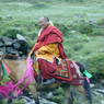 Abbot Dorji Tashi riding a horse along the road.