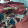 Monks debating religious topics in the debate courtyard.