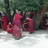 Monks debating religious topics in the debate courtyard.