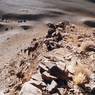 The remains of the long defensive wall built on a rocky rib south of the summit complex of.