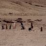 The pillars of the site. Long-stones DR11 (extreme right), DR 10 (extreme left) are offset from the main row of pillars. The local guide is seated next to the standing stones.