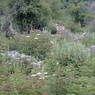 The remains of buildings destroyed by fire in the village of bdud ma, in Kong po