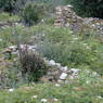 The remains of buildings destroyed by fire in the village of bdud ma, in Kong po