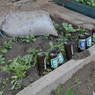 Beer bottles of unknown purposes near a house in the village of bdud ma, in Kong po