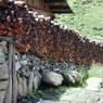 Wood piled as a fence around a house in the village of Lo, in Kong po