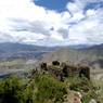 Ruins at mKhar rdo hermitage