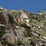 Holy sites in the landscape above Sera Dbu rtse