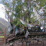 Prayer flags hanging outside the grain processing stalls in the village of sMu pa, in Kong po