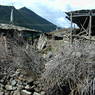 A fence in the village of sMu pa, in Kong po