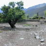 An open area in the village of sMu pa, in Kong po