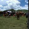 Tibetan men racing horses in Lhagang.&nbsp;