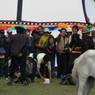 Men playing a game with horses at the Lhagang Festival.&nbsp;
