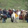 Tibetans engaging in horse-related game during Lhagang festival.&nbsp;