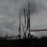 Flags hoisted in windy places