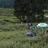 view of the scene where the Chha festival is celebrated