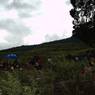 Local people gathered nearby cypress tree to celebrate Chha having lunch