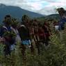 Reciting and chanting Bro near by cypress tree