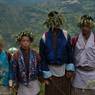 Holding their hand in hand wearing chrysanthemum  hats chanting and dancing