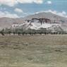 Southeast face of Potala from a distance with grassy foreground. Copyright Pitt Rivers Museum, University of Oxford 1998.157.66