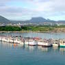 The port of Mauritius.
