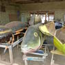 Coffins in the shape of a spider, a fish and a vegetable being made in Ghana.